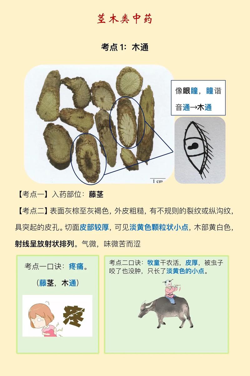 悉健印度代购希爱力是真的吗？避坑指南与正品鉴别全攻略